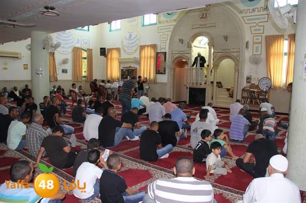 mayef abo ganem 0524 (8).JPG